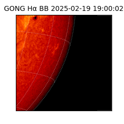 gong - 2025-02-19T19:00:02