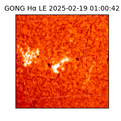 gong - 2025-02-19T01:00:42