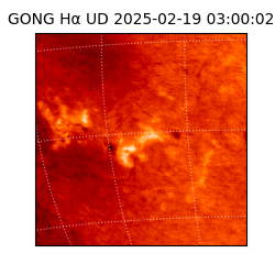 gong - 2025-02-19T03:00:02