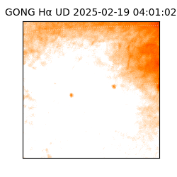 gong - 2025-02-19T04:01:02