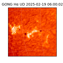 gong - 2025-02-19T06:00:02