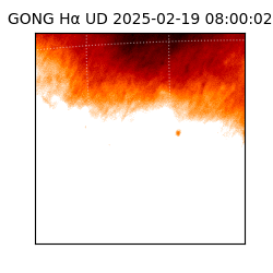 gong - 2025-02-19T08:00:02