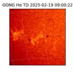 gong - 2025-02-19T09:00:22