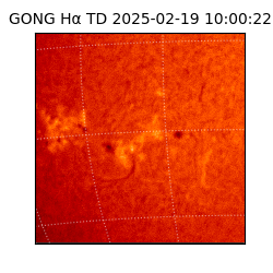 gong - 2025-02-19T10:00:22