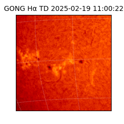 gong - 2025-02-19T11:00:22