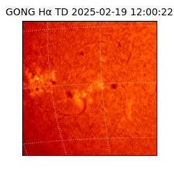 gong - 2025-02-19T12:00:22