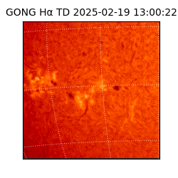 gong - 2025-02-19T13:00:22