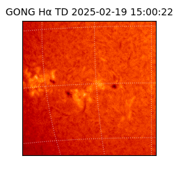 gong - 2025-02-19T15:00:22