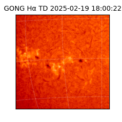 gong - 2025-02-19T18:00:22