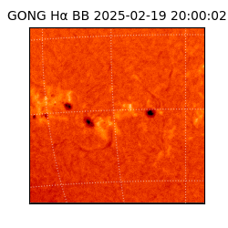 gong - 2025-02-19T20:00:02