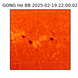 gong - 2025-02-19T22:00:02