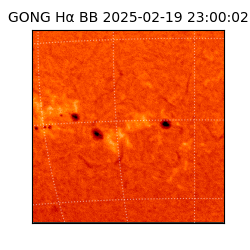 gong - 2025-02-19T23:00:02