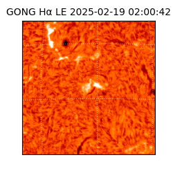 gong - 2025-02-19T02:00:42