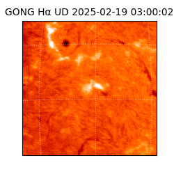 gong - 2025-02-19T03:00:02