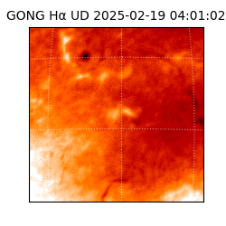 gong - 2025-02-19T04:01:02