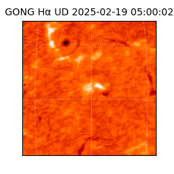 gong - 2025-02-19T05:00:02
