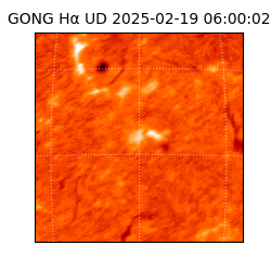 gong - 2025-02-19T06:00:02