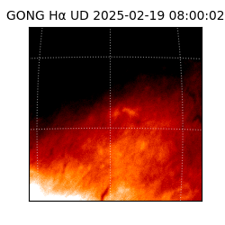 gong - 2025-02-19T08:00:02