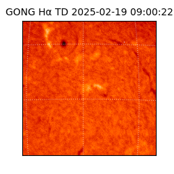 gong - 2025-02-19T09:00:22