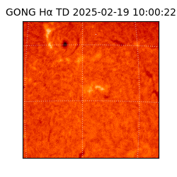gong - 2025-02-19T10:00:22