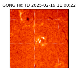 gong - 2025-02-19T11:00:22