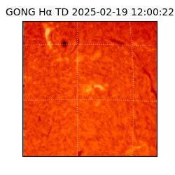 gong - 2025-02-19T12:00:22