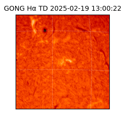 gong - 2025-02-19T13:00:22