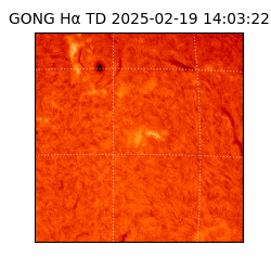 gong - 2025-02-19T14:03:22