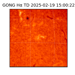 gong - 2025-02-19T15:00:22