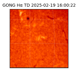 gong - 2025-02-19T16:00:22