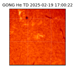 gong - 2025-02-19T17:00:22