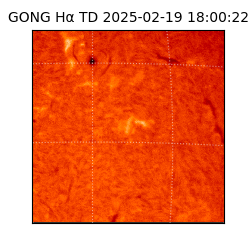 gong - 2025-02-19T18:00:22
