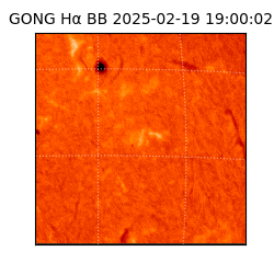gong - 2025-02-19T19:00:02