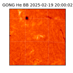 gong - 2025-02-19T20:00:02