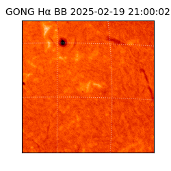 gong - 2025-02-19T21:00:02
