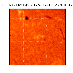 gong - 2025-02-19T22:00:02