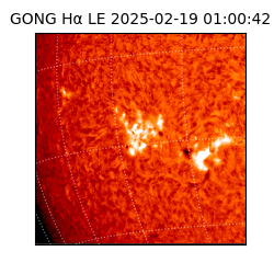 gong - 2025-02-19T01:00:42