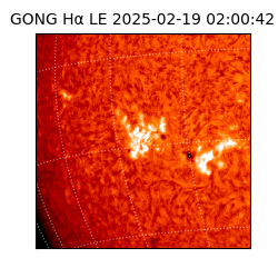 gong - 2025-02-19T02:00:42