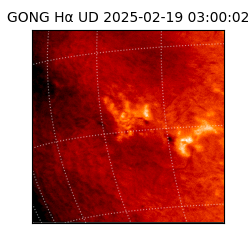 gong - 2025-02-19T03:00:02