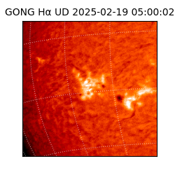gong - 2025-02-19T05:00:02