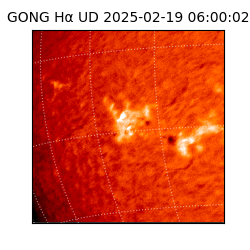 gong - 2025-02-19T06:00:02