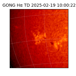 gong - 2025-02-19T10:00:22