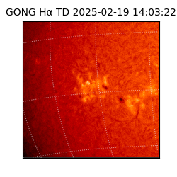 gong - 2025-02-19T14:03:22