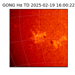 gong - 2025-02-19T16:00:22