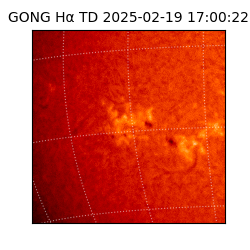 gong - 2025-02-19T17:00:22
