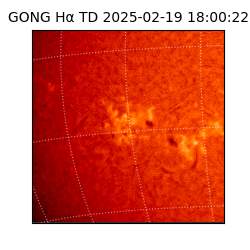 gong - 2025-02-19T18:00:22