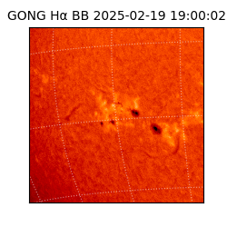 gong - 2025-02-19T19:00:02