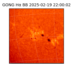 gong - 2025-02-19T22:00:02