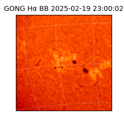 gong - 2025-02-19T23:00:02