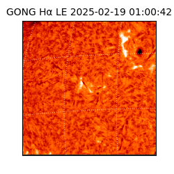gong - 2025-02-19T01:00:42